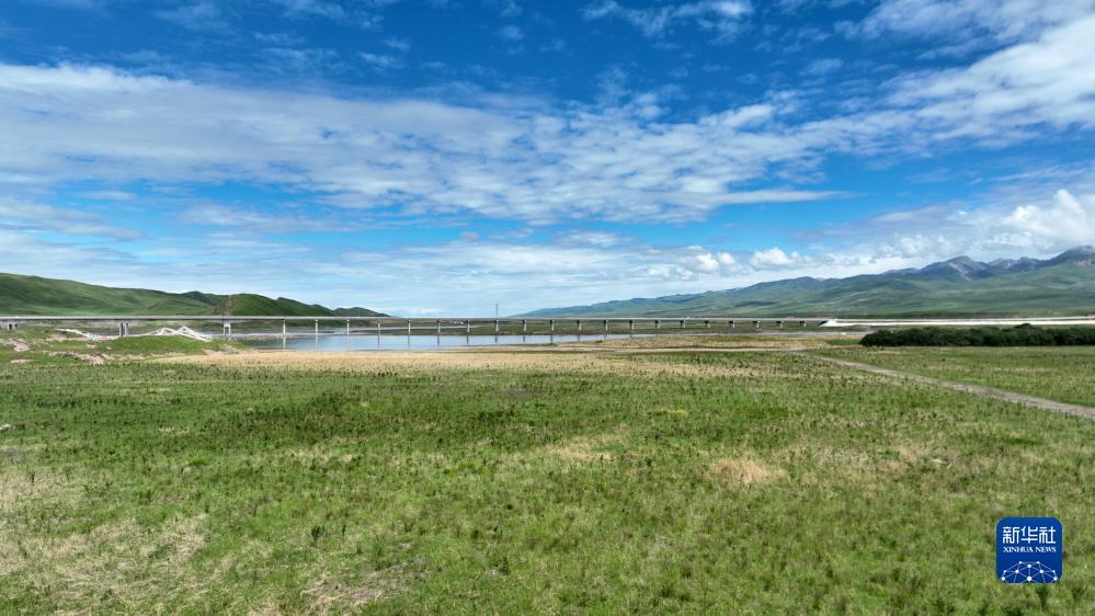 澳门十三弟注册